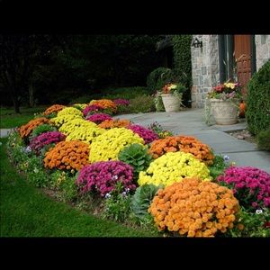 Meet your Posher, Lilisa